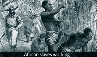 African Slaves in USA
