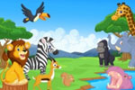 Amazing Facts about Animals