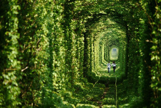 The Tunnel of Love, Klevan, Ukraine