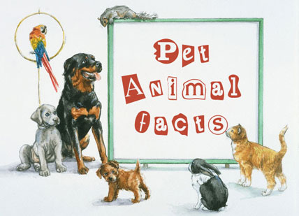 Pet Animal Facts