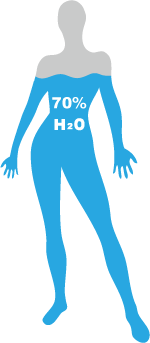 Water Level in Human Body