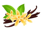 Vanilla Beans