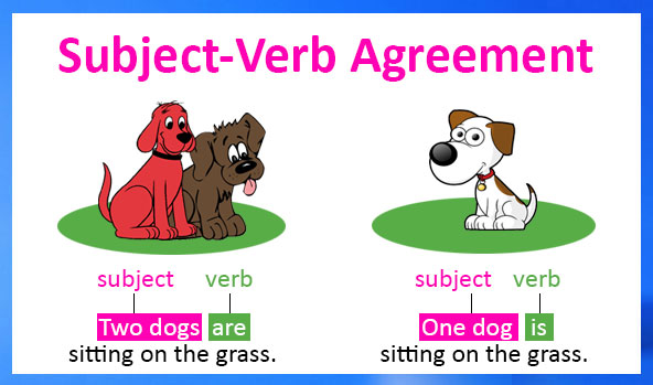 subject-verb-agreement-free-english-grammar-lessons-and-worksheets