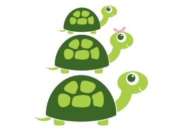 The Tortoise Family Story