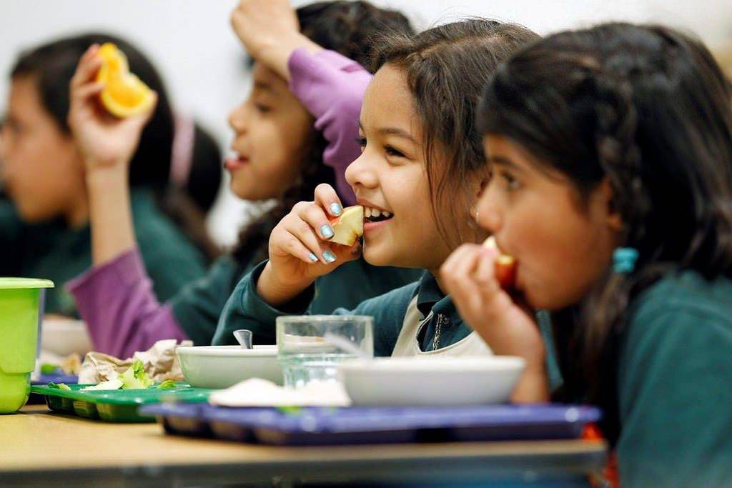Top Brain Foods for Kids Development, Bain Foods to Boost Focus and Memory
