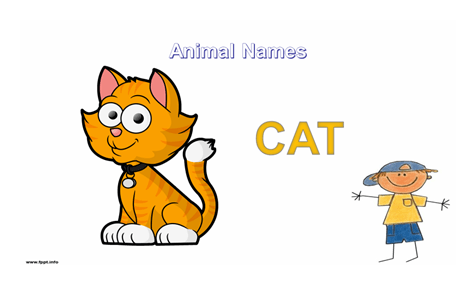 orange colored cat illustration with boy character
