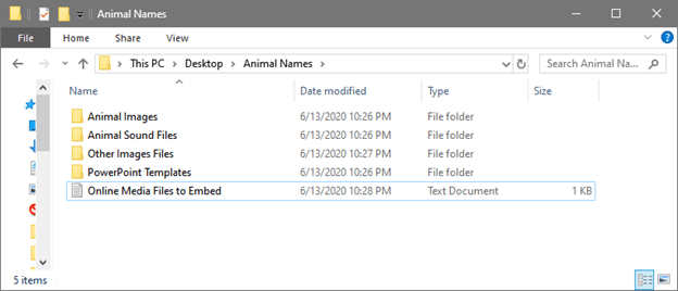 computer folder display screenshot