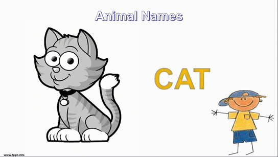 grey colored cat illustration