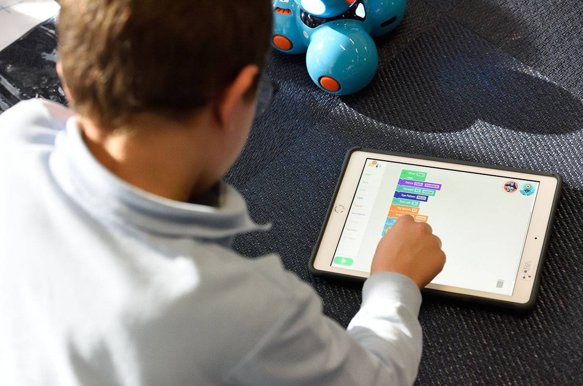 Child playing computer game online