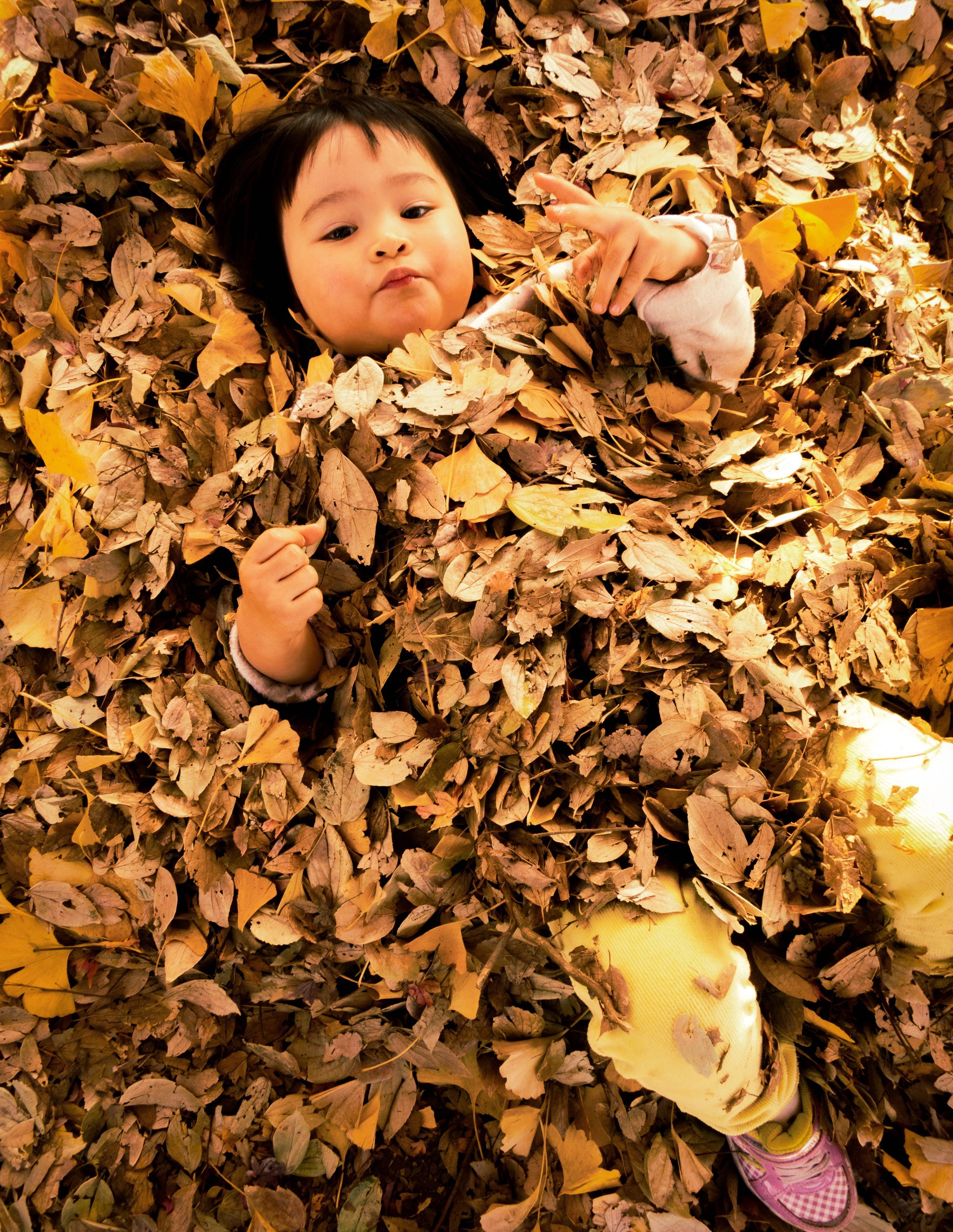 Child with dried leaves