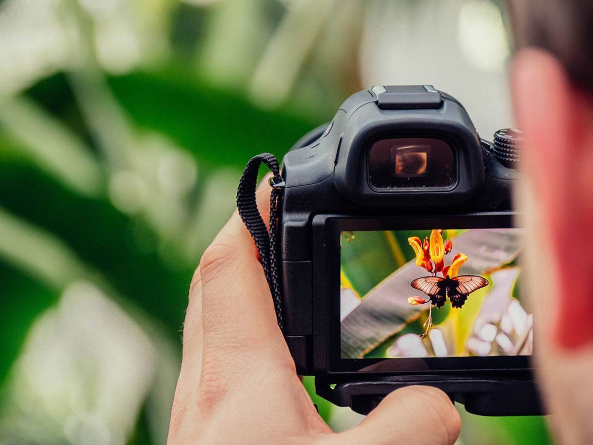 Photography camera view