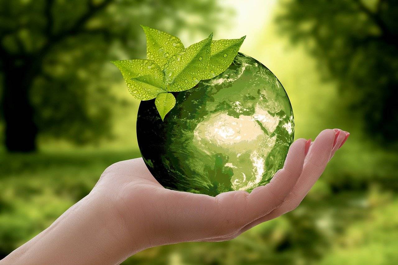 Teaching Kids To Recycle