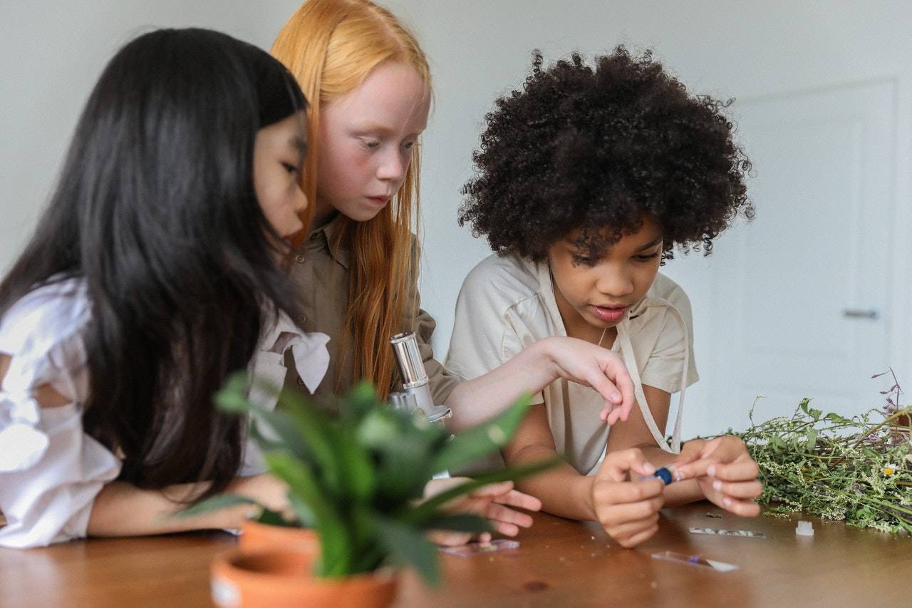 Science project activities of kids