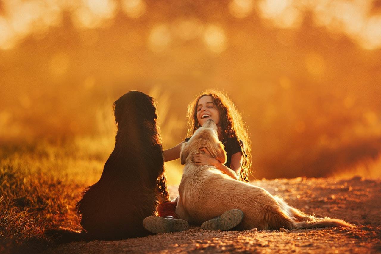 Dogs with a girl child