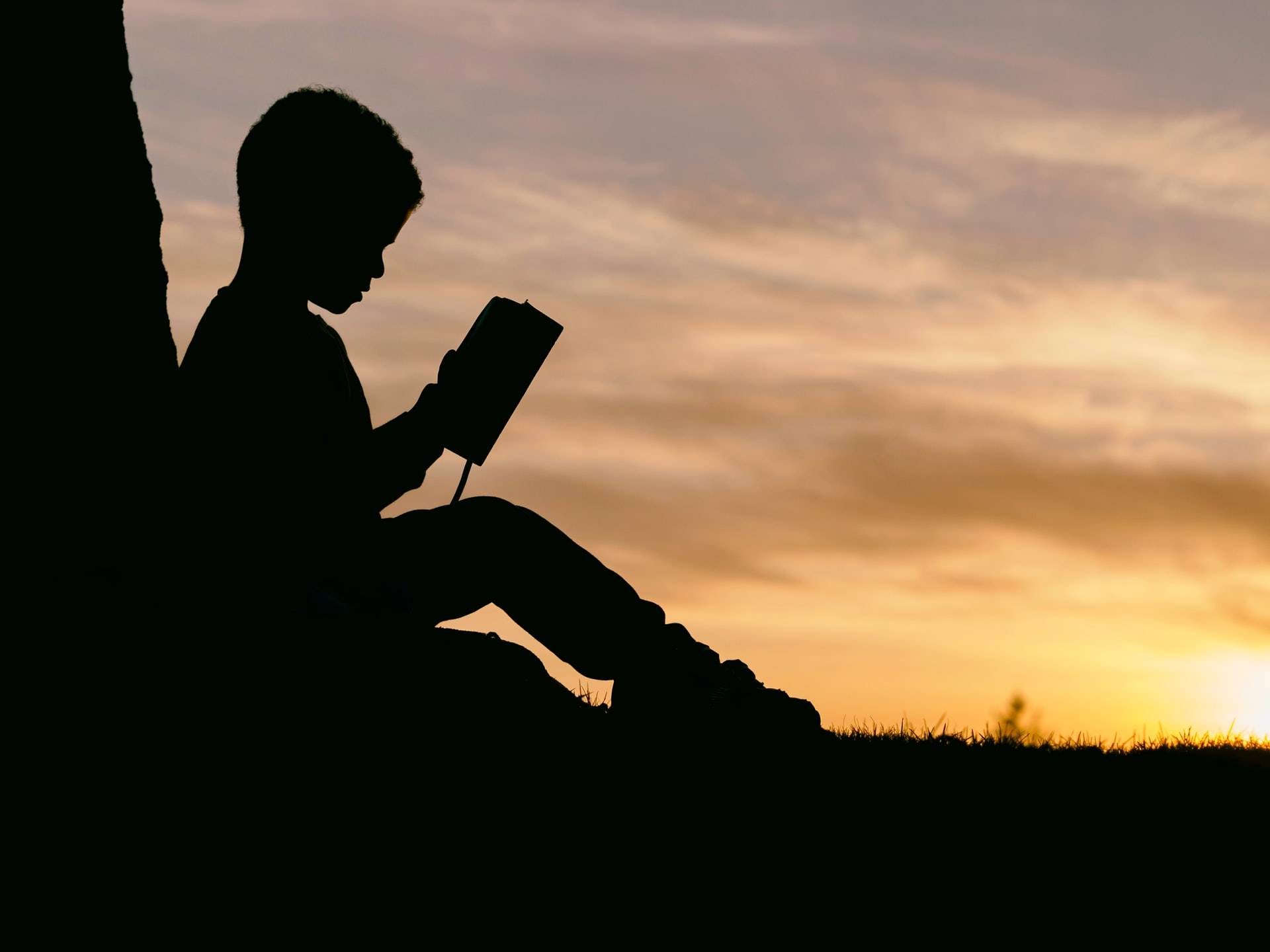 Dark shade view of a child reading book