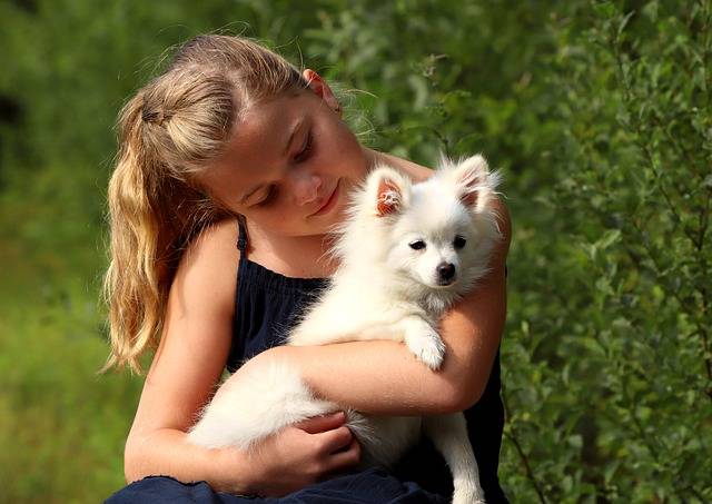 Girl Child with a Cute Dog