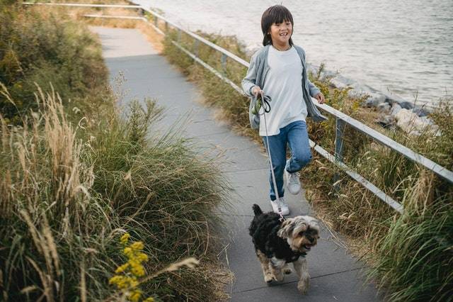 Young Boy Walking with a Dog