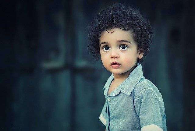 Child, Boy, Portrait, Cute, Kid, Fashion