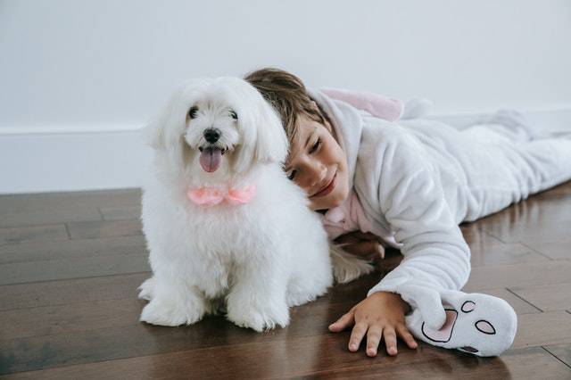 Boy and Emotional Support Animal Dog