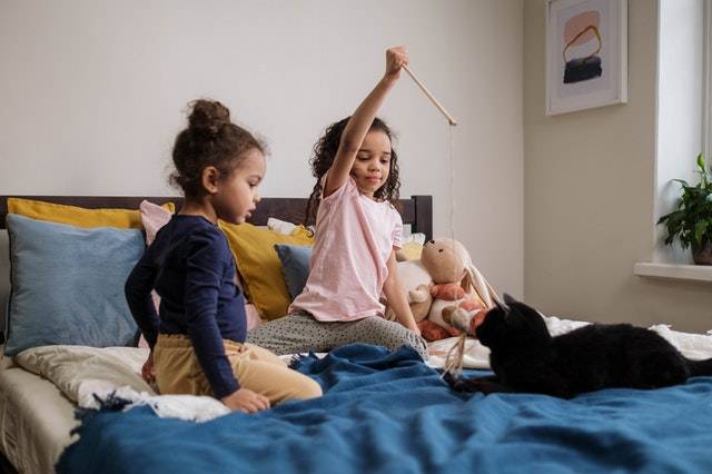 How to Teach Your Kids to Help With the Family Cat