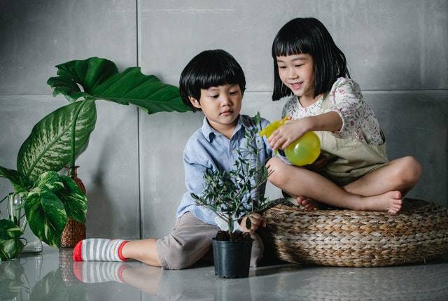Kids Indoor Garden Activities