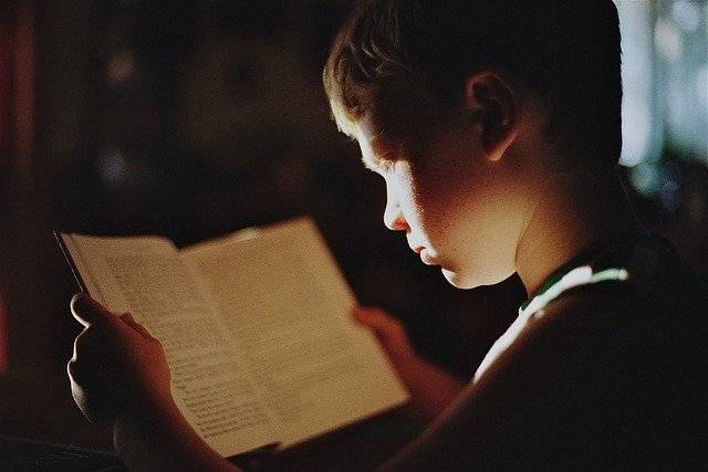 Boy Reading Book