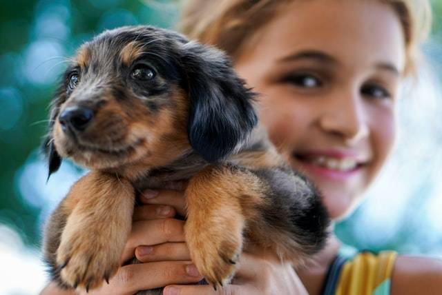 What Is The Best Emotional Support Animal For Kids? Pet Animals