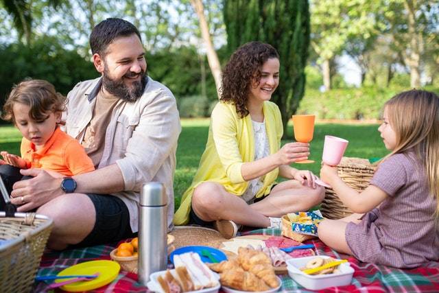 Family Picnic