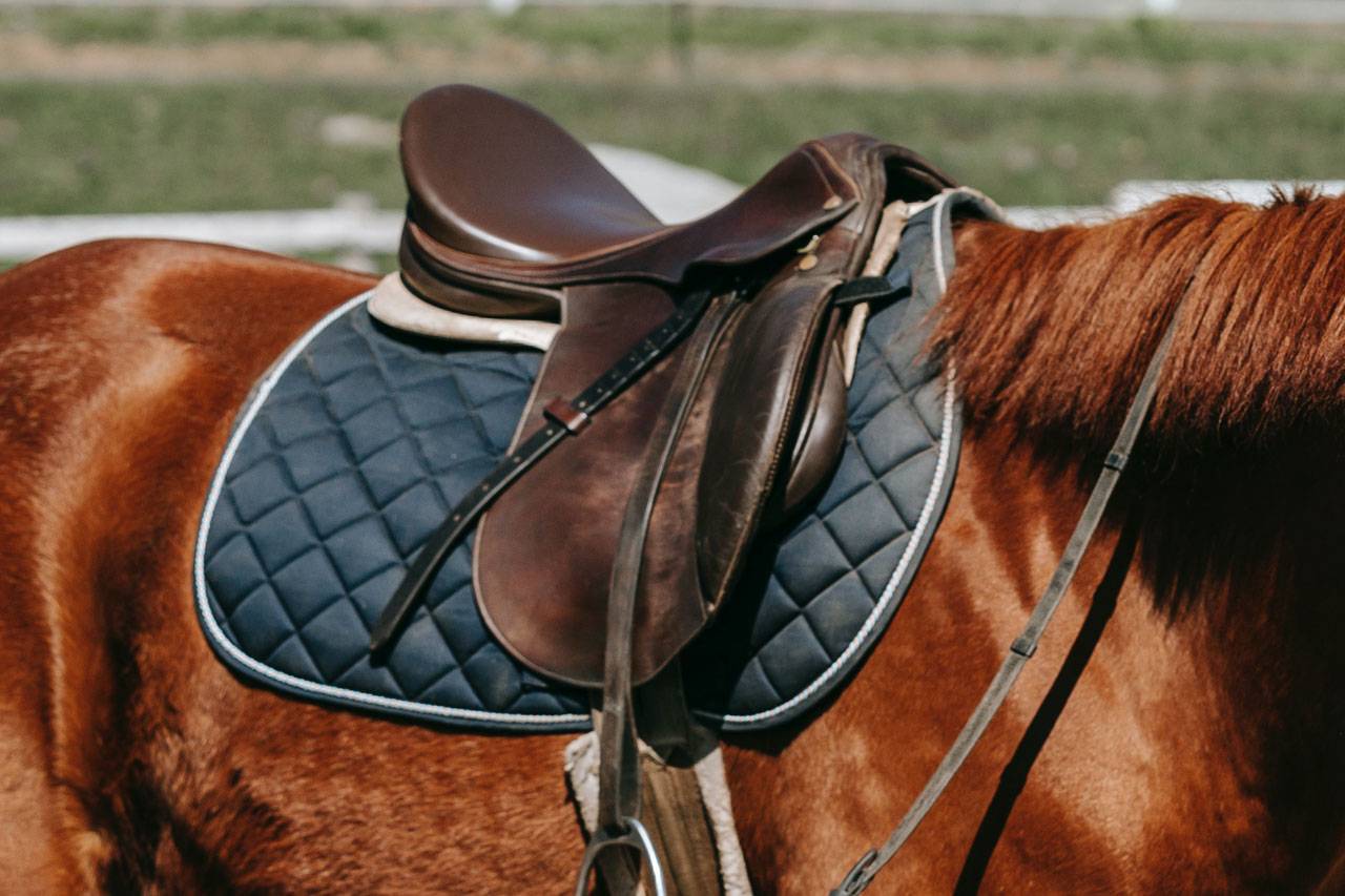 Why are Dressage Saddle Pads Important?