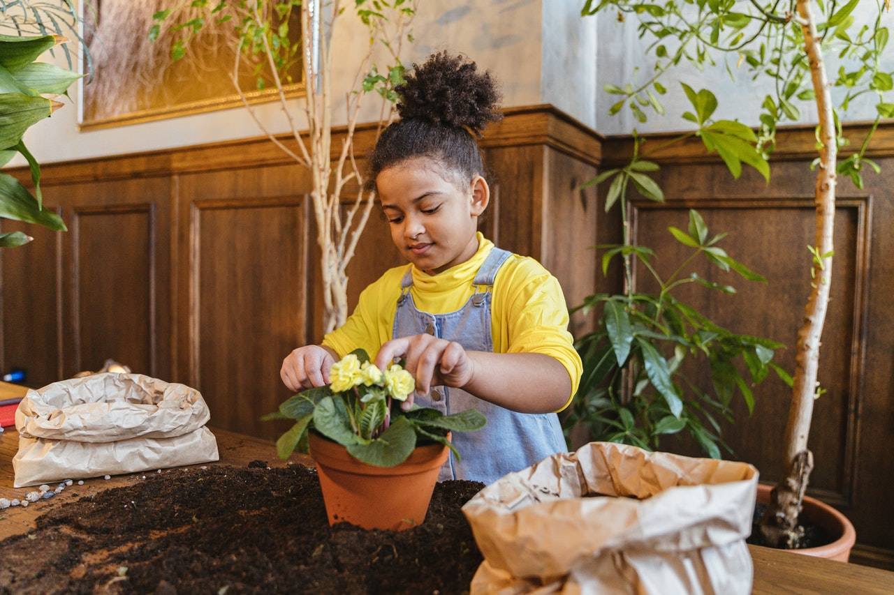 Ways to Get Your Kids Excited About Gardening