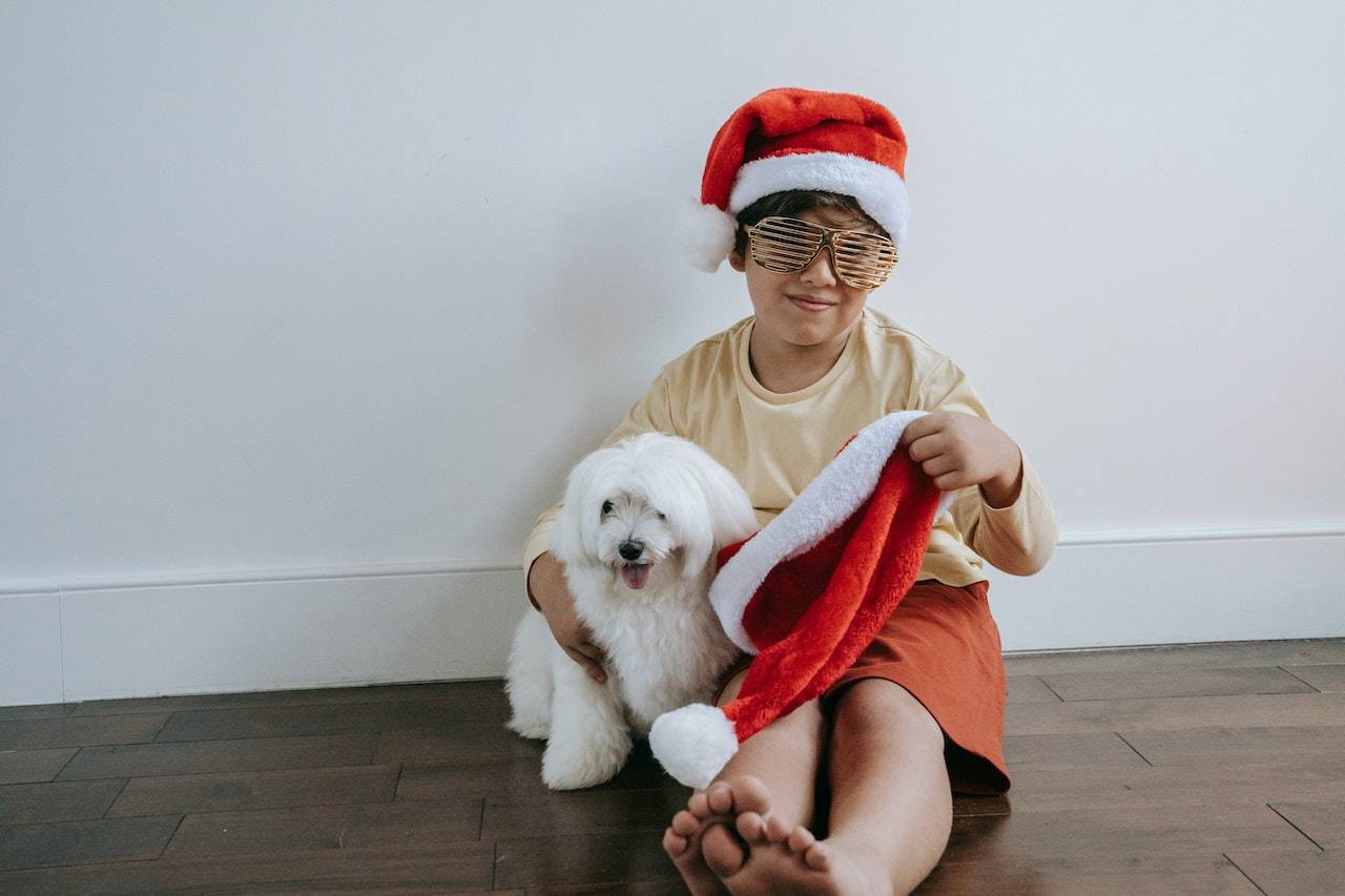 Christmas Celebration With Pet