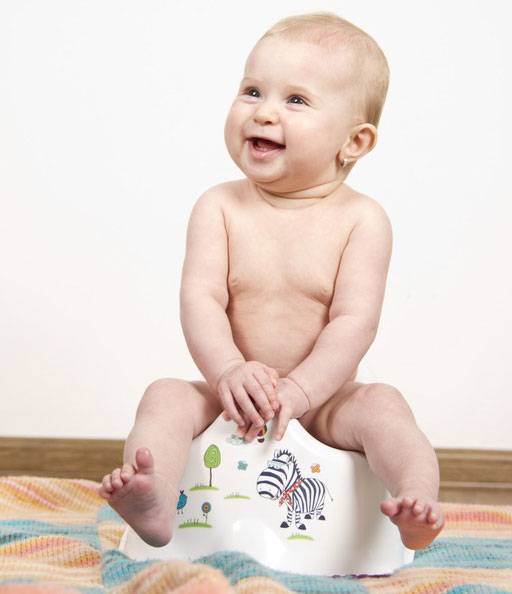 Quick Guide On Potty Training