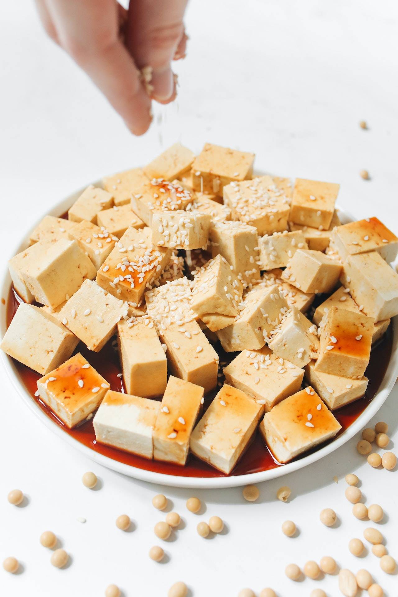 Soy Foods 