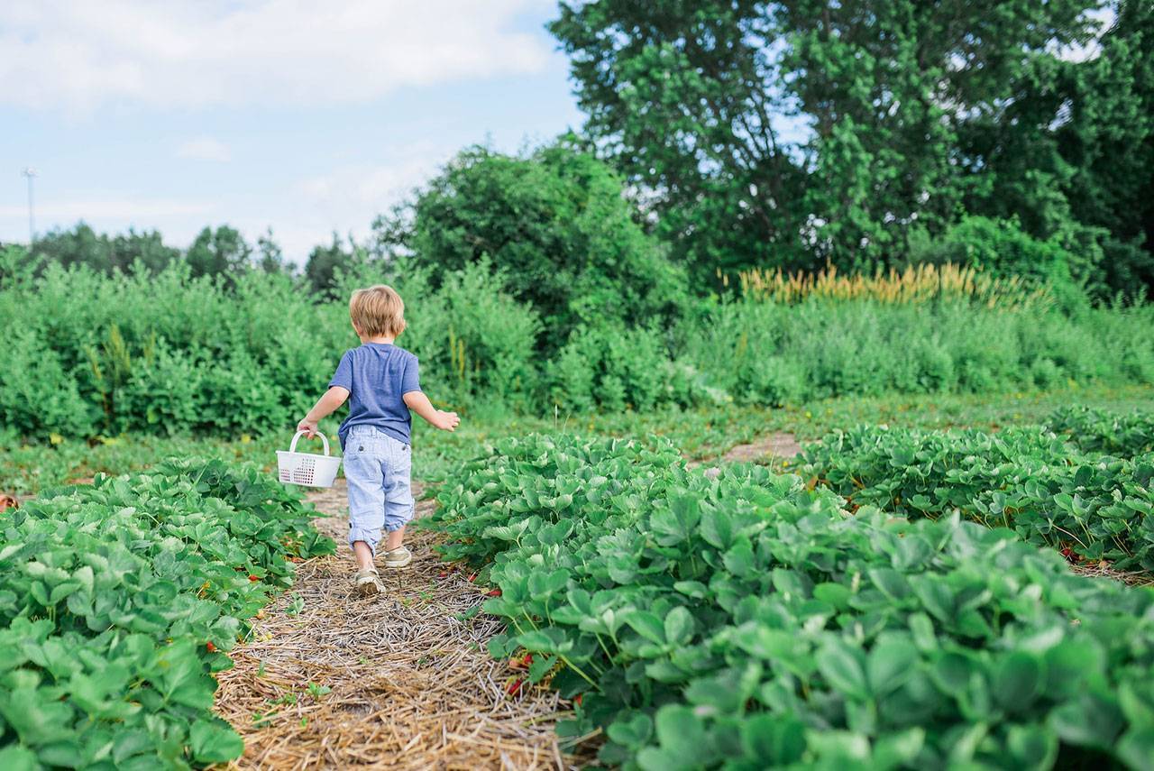How to Encourage Your Kids to Join a Spring Hike and Other Nature-Based Activities