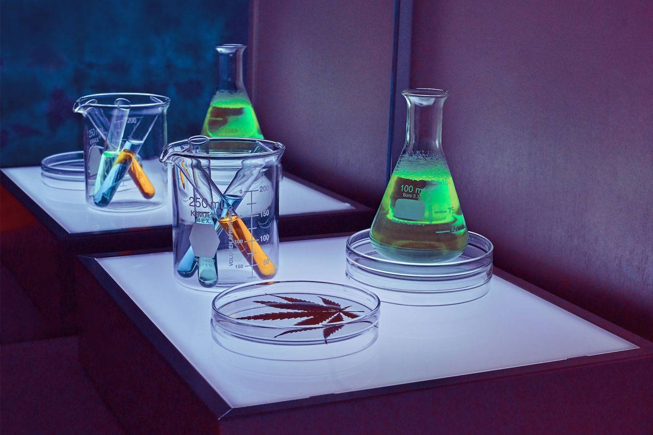 Helping Parents Understand The Science Of Cannabinoids