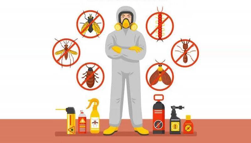 How to Choose the Best Pest and Termite Control in USA?