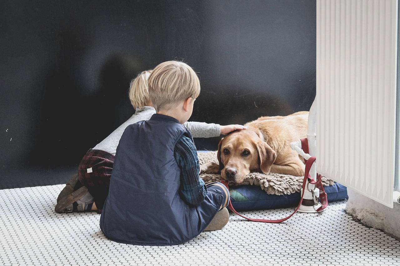 How to Teach Kids to be Kind to Animals