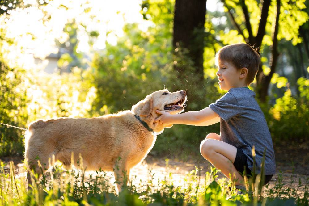 What Makes Children Love Animals More Than Adults?