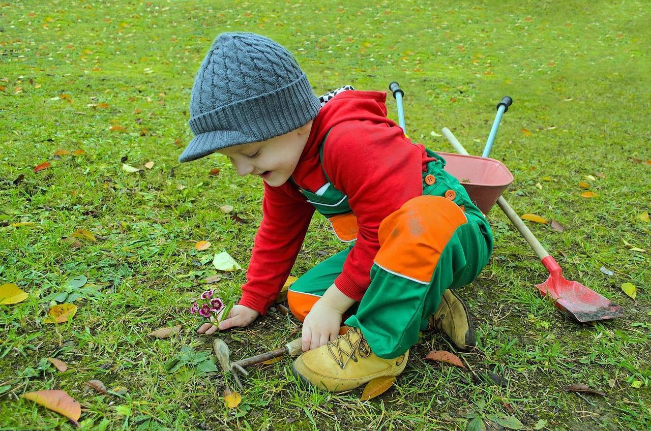Hands-On & Creative Tips For Teaching Kids Gardening