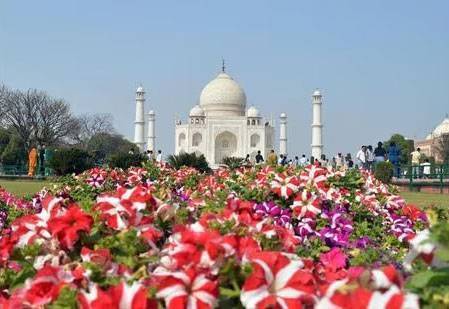 Native Indian Flowers You Should Know About