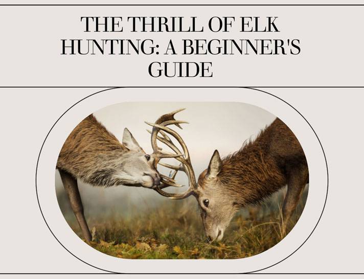 The Thrill of Elk Hunting: A Beginner's Guide
