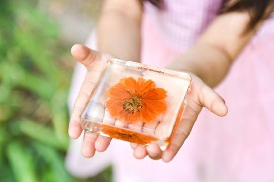 Specimen Toy Flower