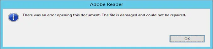 Adobe Reader file opening error