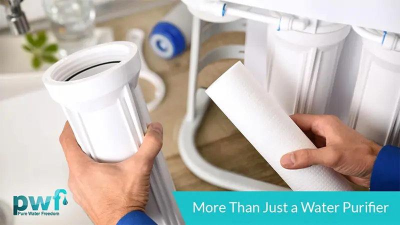 How Water Pitchers Can Help Keep Your Hydration Fluoride-Free?