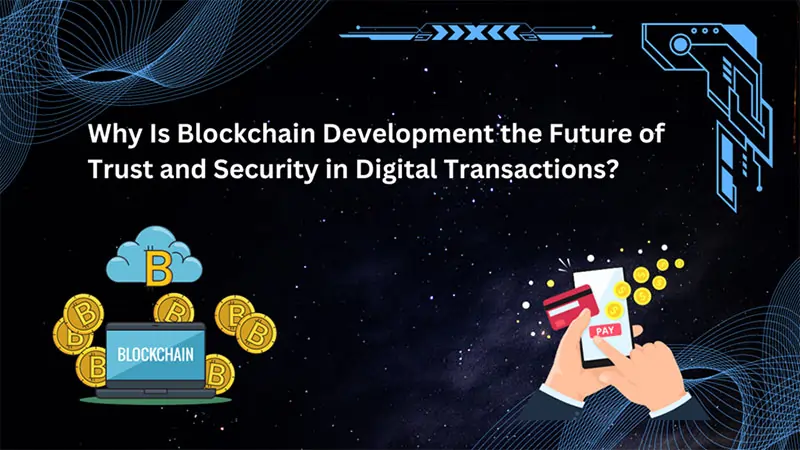 Why is Blockchain Development the Future of Trust and Security in Digital Transactions?