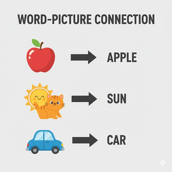 Diagram: “Word-Picture Connection”
Image of an apple → arrow → “APPLE” (in uppercase)
Include 3–4 examples like sun, cat, and car.