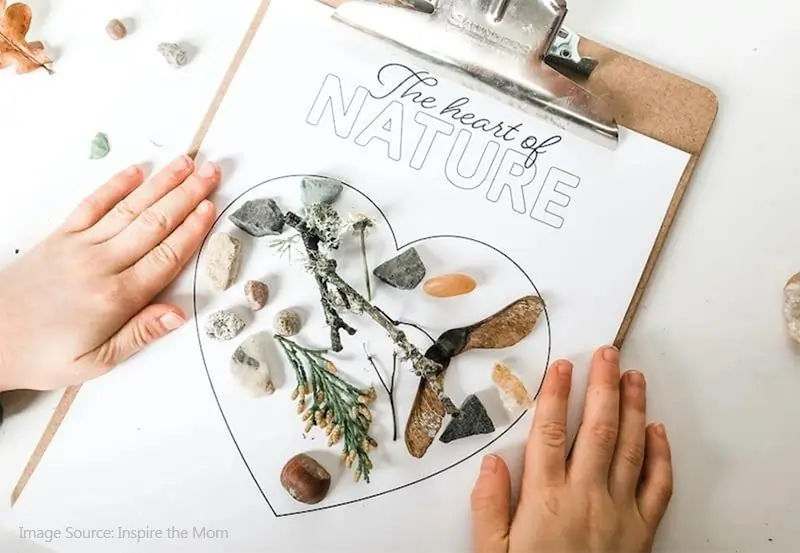 Backyard Nature Collage Project