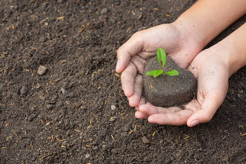 Close-up of small hands planting seeds in decorated pots, colorful painted containers, potting soil, seed packets visible.