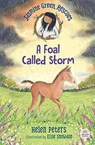 ebook - Jasmine Green Rescues: A Foal Called Storm