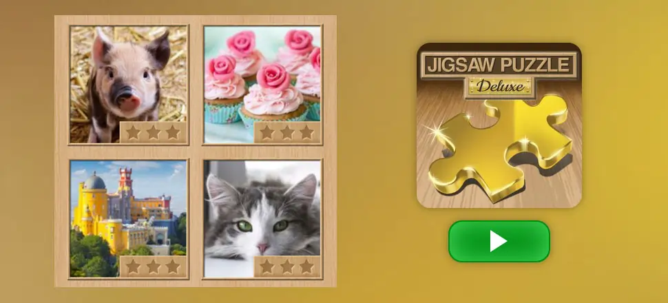 Jigsaw Puzzle Deluxe - Educational Game
